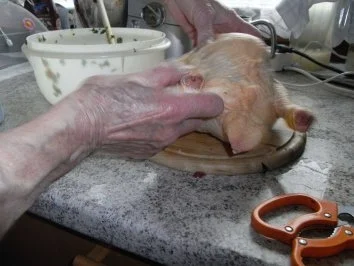 Rezept: Gefülltes Hendl aus Omas Schatzkiste Bild Nr. 2 Gefülltes Hendl aus Omas Schatzkiste - Rezept - Bild Nr. 2