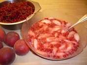 Pfirsichspalten mit Johannisbeeren in Weißwein - Rezept