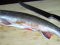 Bachsaibling mit heißer Gurke - Rezept