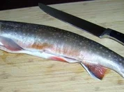 Bachsaibling mit heißer Gurke - Rezept