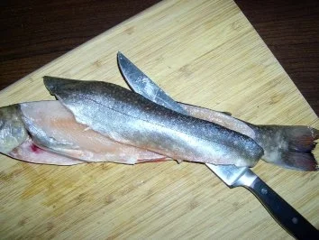 Bachsaibling mit heißer Gurke - Rezept - Bild Nr. 2