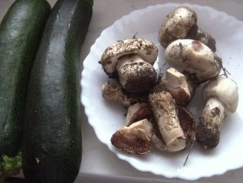 Zucchini mit Champignonfüllung - Rezept - Bild Nr. 3