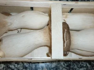 Hähnchenbrust mit Kräuterseitlingen und Schalotten an Babyspinat-Pesto - Rezept - Bild Nr. 5