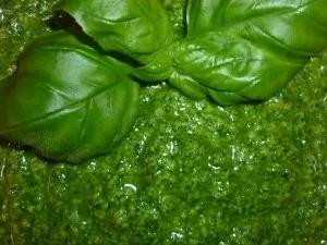Rezept: Babyspinat-Pesto Babyspinat-Pesto - Rezept