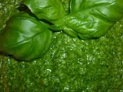 Rezept: Babyspinat-Pesto Babyspinat-Pesto - Rezept