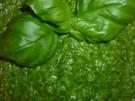 Babyspinat-Pesto - Rezept