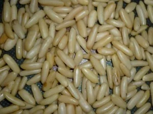 Rezept: Babyspinat-Pesto Bild Nr. 5 Babyspinat-Pesto - Rezept - Bild Nr. 5