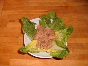 Rezept: Salat ala Holger Bild Nr. 4 Salat ala Holger - Rezept - Bild Nr. 4