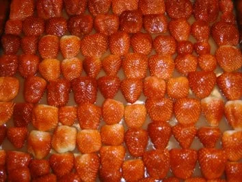 Erdbeerschnitten - Rezept