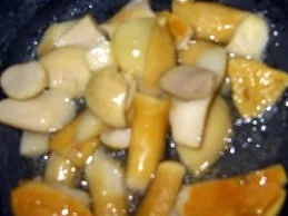 Mit Steinpilzen gefüllte Hähnchenbrust im Speckmantel - Rezept - Bild Nr. 3