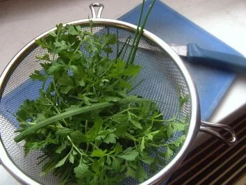 Kräuterspargel - Rezept - Bild Nr. 4