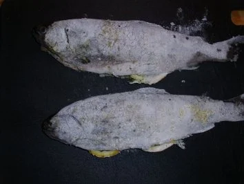 Rezept: Forelle gebraten mit Petersilienkartoffeln und Zitronenbutter Bild Nr. 5 Forelle gebraten mit Petersilienkartoffeln und Zitronenbutter - Rezept - Bild Nr. 5