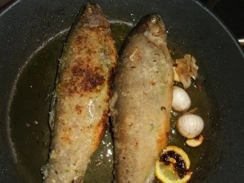 Rezept: Forelle gebraten mit Petersilienkartoffeln und Zitronenbutter Bild Nr. 6 Forelle gebraten mit Petersilienkartoffeln und Zitronenbutter - Rezept - Bild Nr. 6