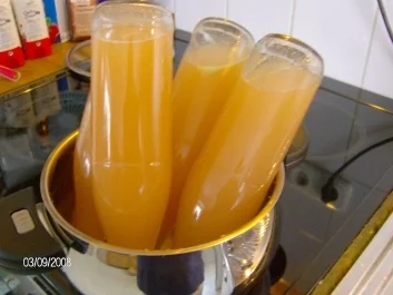 Rezept: Apfelsaft Bild Nr. 2 Apfelsaft - Rezept - Bild Nr. 2