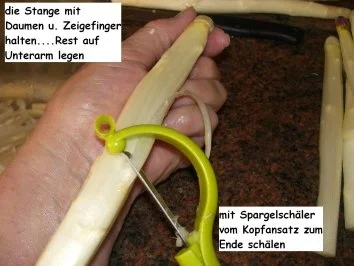 Gemüse:   SPARGEL hat SAISON - Rezept - Bild Nr. 4
