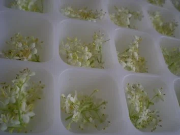 Rezept: Drinks & Cocktails: Hollodri Bild Nr. 3 Drinks & Cocktails: Hollodri - Rezept - Bild Nr. 3