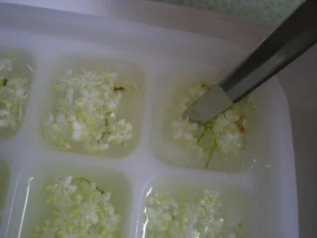 Rezept: Drinks & Cocktails: Hollodri Bild Nr. 5 Drinks & Cocktails: Hollodri - Rezept - Bild Nr. 5