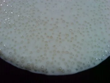 Froscheier - Kindheitserinnerung - Rezept - Bild Nr. 2