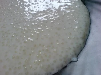 Froscheier - Kindheitserinnerung - Rezept - Bild Nr. 13