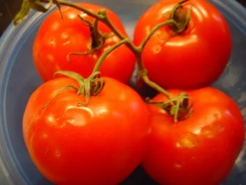 Hackfleisch-Pfanne "Kunterbunt" - Rezept - Bild Nr. 5