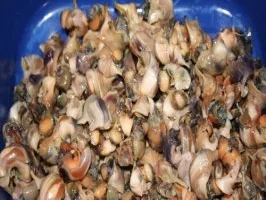 erster gang tubettini mit  meerschnecken - Rezept - Bild Nr. 4