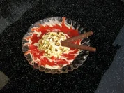 ♥♥ Spaghettieis mit beschwipstem Erdbeersößchen ♥♥ - Rezept