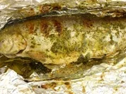 Gefüllte Lachsforellen mit Orangenhonig- Hauch vom Grill - Rezept