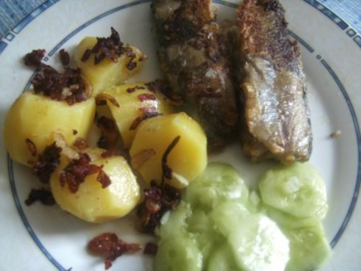 Bilder für Grüne Heringe gebraten mit Salzkartoffeln und Gurkensalat - Rezept