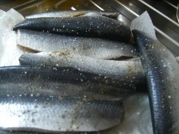 Rezept: Grüne Heringe gebraten mit Salzkartoffeln und Gurkensalat Bild Nr. 3 Grüne Heringe gebraten mit Salzkartoffeln und Gurkensalat - Rezept - Bild Nr. 3