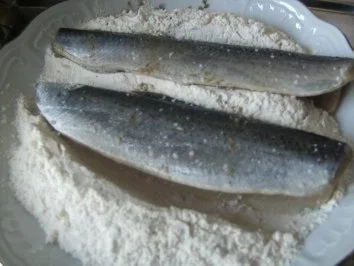 Rezept: Grüne Heringe gebraten mit Salzkartoffeln und Gurkensalat Bild Nr. 4 Grüne Heringe gebraten mit Salzkartoffeln und Gurkensalat - Rezept - Bild Nr. 4