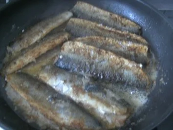 Rezept: Grüne Heringe gebraten mit Salzkartoffeln und Gurkensalat Bild Nr. 9 Grüne Heringe gebraten mit Salzkartoffeln und Gurkensalat - Rezept - Bild Nr. 9