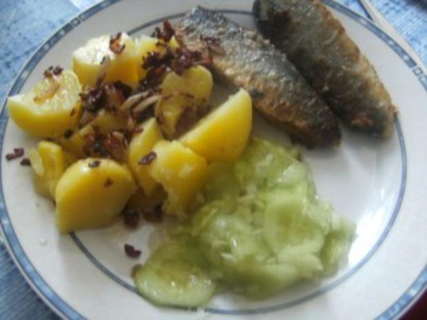 Grüne Heringe gebraten mit Salzkartoffeln und Gurkensalat - Rezept ...