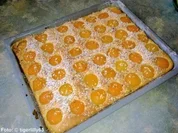 Schnelle Aprikosen-Schnitten - Rezept