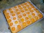Schnelle Aprikosen-Schnitten - Rezept
