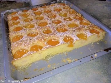 Schnelle Aprikosen-Schnitten - Rezept - Bild Nr. 2