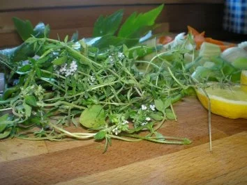 Lachsforelle - Rezept - Bild Nr. 2