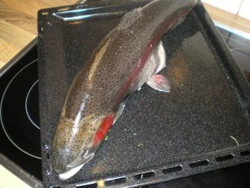 Lachsforelle - Rezept - Bild Nr. 5