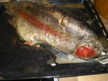 Lachsforelle - Rezept - Bild Nr. 6