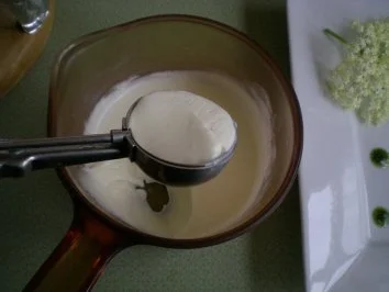 Rezept: Holunder Blüten Mousse mit Minz Pesto Bild Nr. 4 Holunder Blüten Mousse mit Minz Pesto - Rezept - Bild Nr. 4