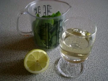 Minz Pesto - Rezept - Bild Nr. 2