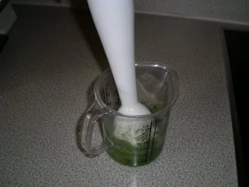 Minz Pesto - Rezept - Bild Nr. 3
