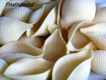 Rezept: Gefüllte Muschelnudeln Bild Nr. 2 Gefüllte Muschelnudeln - Rezept - Bild Nr. 2