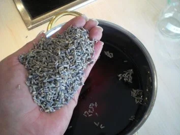 Lavendelmarmelade - Rezept - Bild Nr. 5