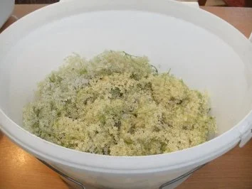 Rezept: Getränk: Holunderblüten-Sirup Bild Nr. 3 Getränk: Holunderblüten-Sirup - Rezept - Bild Nr. 3