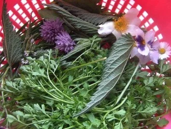 Camembert an Kräutersalat...gebacken - Rezept - Bild Nr. 5