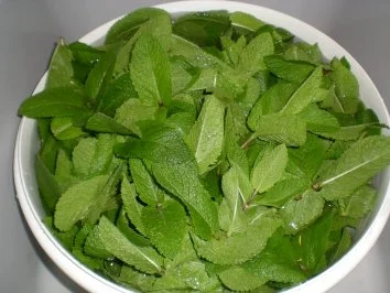 Minze-Sirup - Rezept - Bild Nr. 2