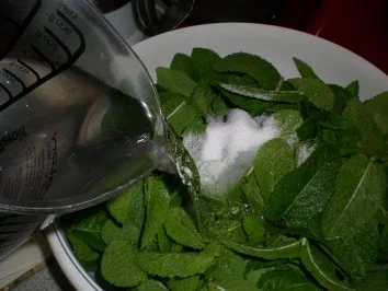 Minze-Sirup - Rezept - Bild Nr. 3