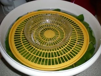 Minze-Sirup - Rezept - Bild Nr. 4