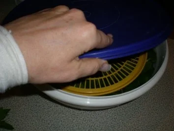 Minze-Sirup - Rezept - Bild Nr. 5