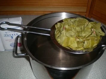 Minze-Sirup - Rezept - Bild Nr. 6